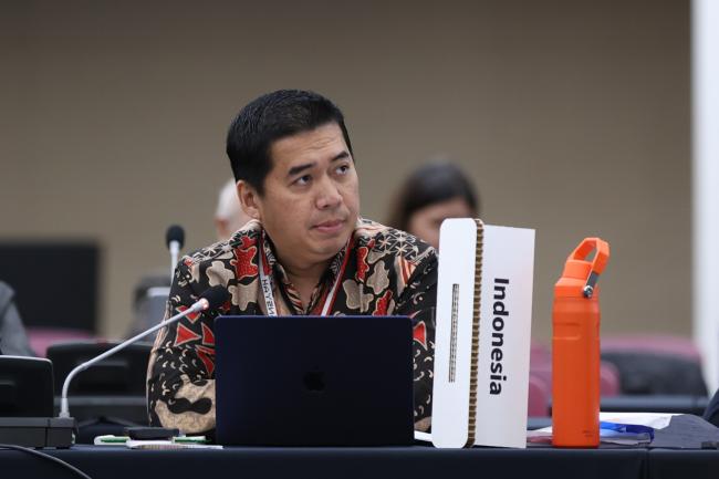 Danny Rahdiansyah, Indonesia