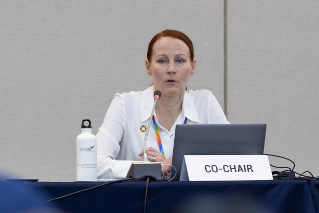 Contact Group 2 Co-Chair Tuulia Toikka, Finland