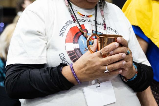 Indigenous representative