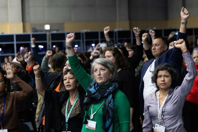 Indigenous representatives