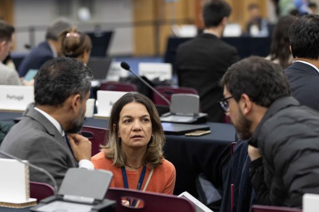 Delegates from Brazil consult