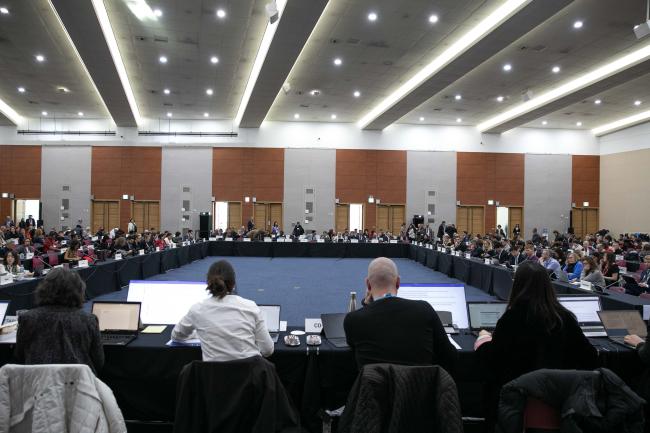 Delegates gather for discussions under Contact Group 1