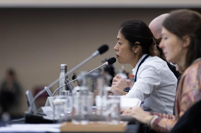Working Group 1 Co-Chair Maria Angélica Ikeda, Brazil
