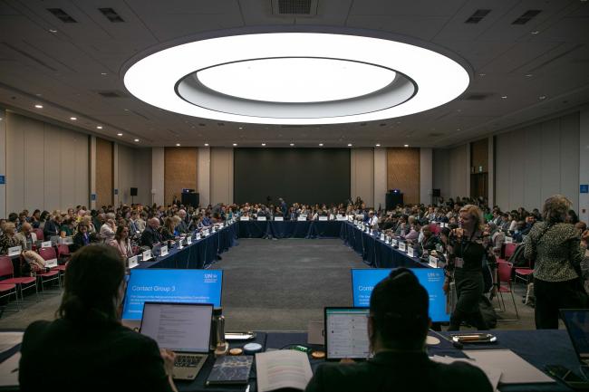 Delegates gather for discussions under Contact Group 3