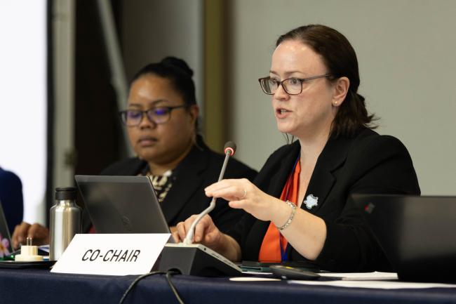 Working Group 3 Co-Chair Kate Lynch, Australia