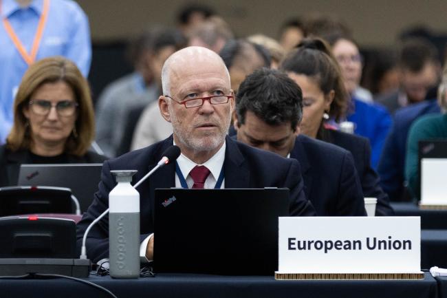 Hugo-Maria Schally, EU