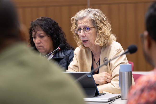 Inger Andersen, Executive Director, UNEP
