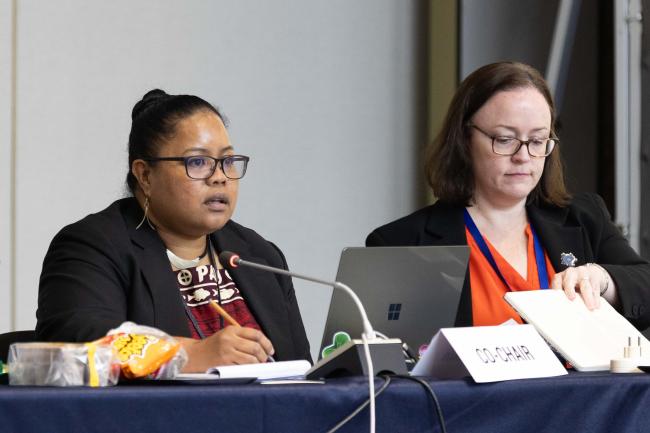 Contact Group 3 Co-Chair Gwendalyn Kingtaro Sisior, Palau