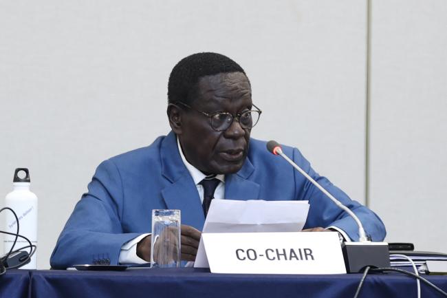 Contact Group 2 Co-Chair Oliver Boachie, Ghana