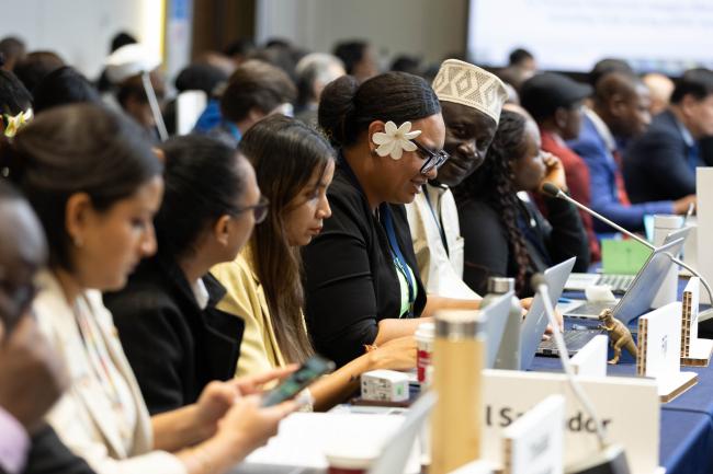 Delegates in the contact group