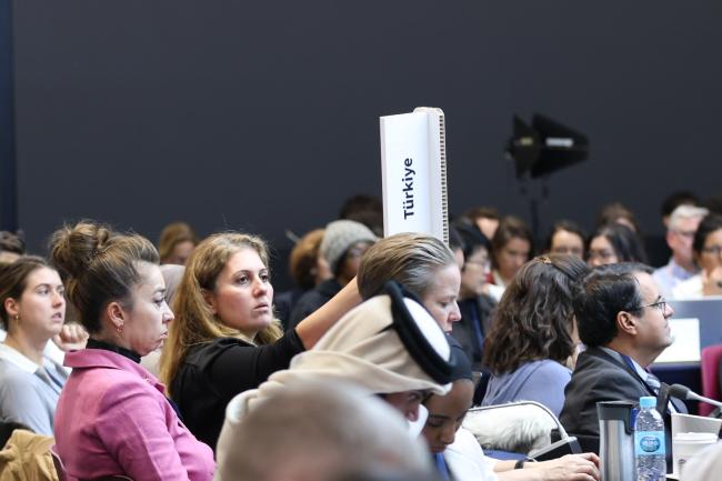 Delegates raise their placards to speak