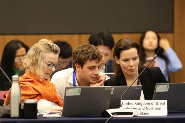 Delegates from the UK consult