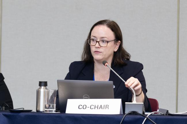 Contact Group 3 Co-Chair Kate Lynch, Australia