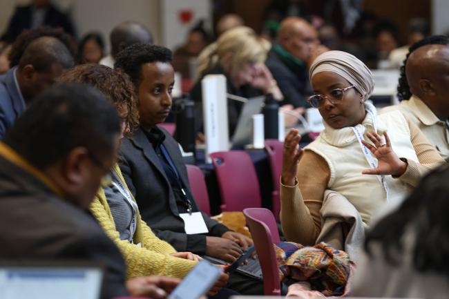 Delegates from the African region consult