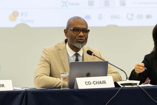 Contact Group 4 Co-Chair Linroy Christian, Antigua and Barbuda