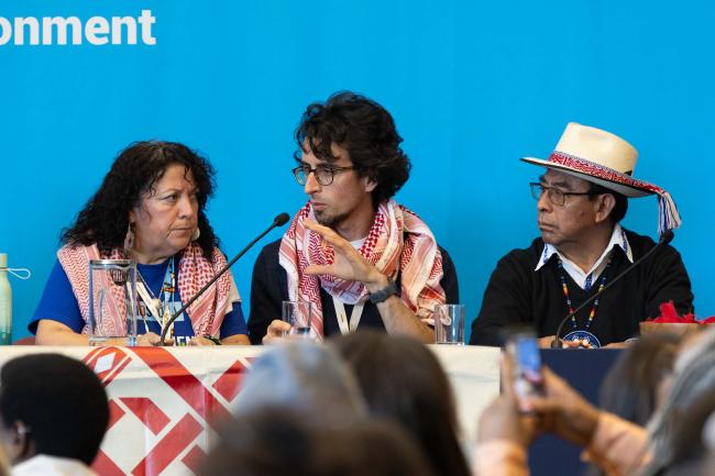 Maria Soledad Mella Vidal, Mapuche Territory, Chile, International Alliance of Recyclers
