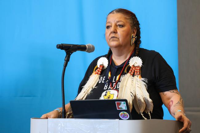 Indigenous representative