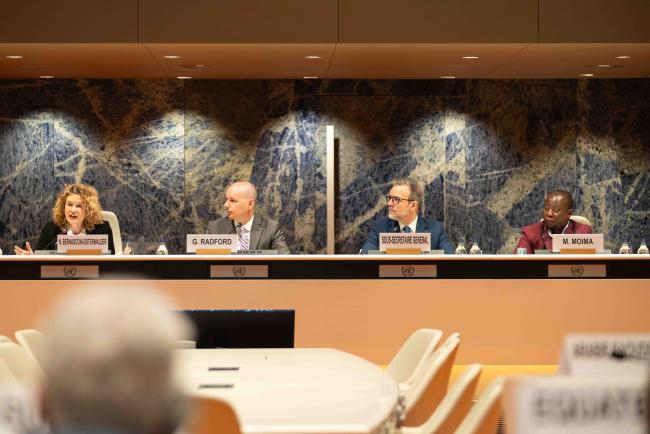 Formal Opening speakers - IGF-AGM_18Nov2024-MikaSchroder