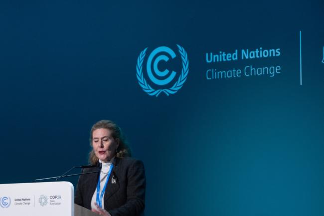 Giovanna Valverde Stark, Minister Counsellor, Climate Change special advisor, Former Ambassador and Permanent Representative in Kenya - UNEP - COP29 Side Event 19NOV