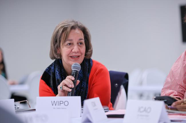 Dalila Hamou, WIPO