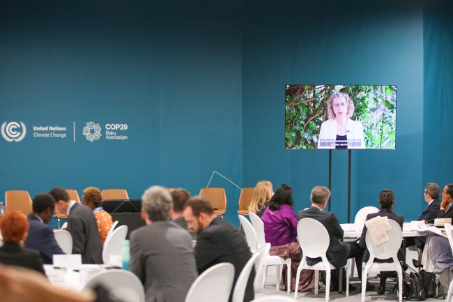 View of the room during Inger Andersen's video message 