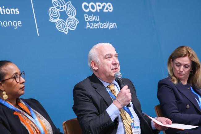 Daniele Violetti, UNFCCC 