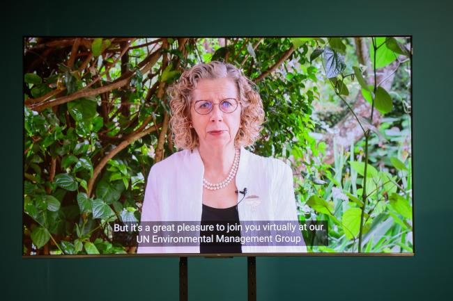 Inger Andersen, Under-Secretary-General of the United Nations, Executive Director of UNEP, EMG Chair -