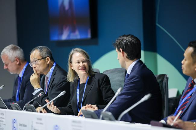 Moderator Mary Burce Warlick, Executive Director, IEA