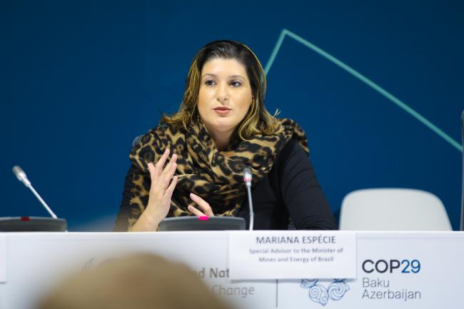 Ana Toni, Secretary for Climate Change, Ministry of Environment and Climate Change, Brazil 