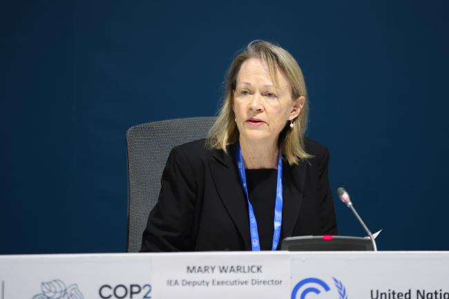   Moderator Mary Burce Warlick, Executive Director, International Energy Agency