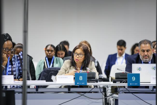 Leila Lora-Santos, Permanent Representative of Philippines to the UN  