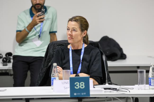 Stephanie Egger Haysmith, Ozone Secretariat  