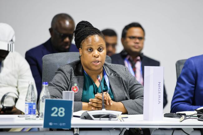 Nkiruka Maduekwe, Director General, National Council on Climate Change, Nigeria  