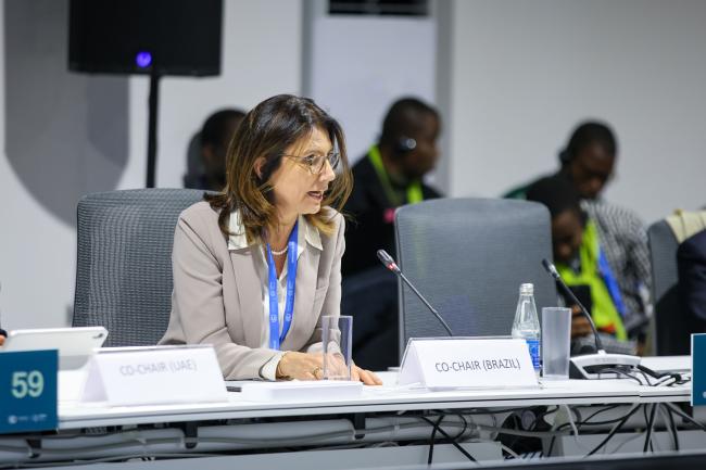 Ana Toni, Vice-Minister, Ministry of Environment and Climate Change, Brazil