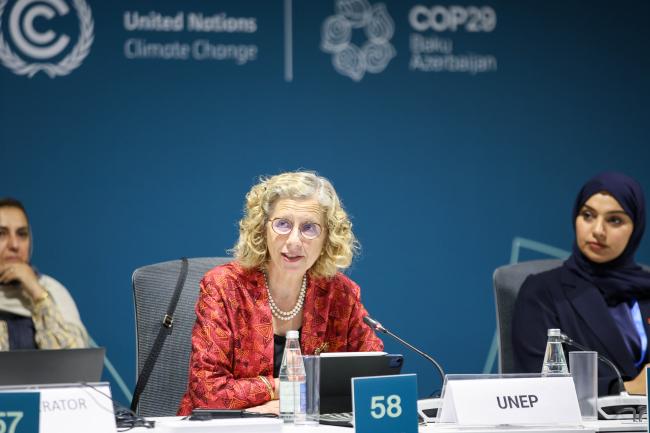 Inger Andersen, Under-Secretary-General, UN, and Executive Director, UNEP