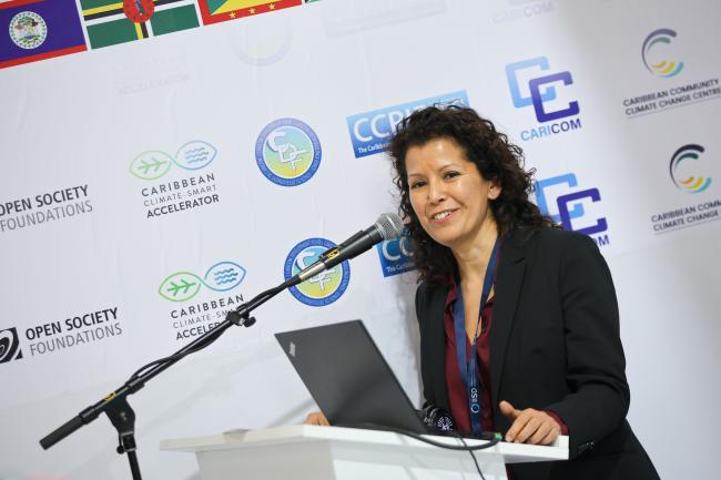 Anne Hammill, IISD