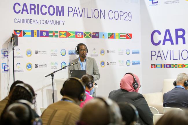 Orville Grey, Head, NAP Global Network Secretariat 