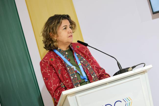 Liliam Chagas, Director for Climate, Ministry of Foreign Affairs, Brazil 