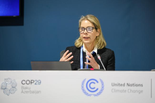 Suzanne Johnson, UN Global Compact 