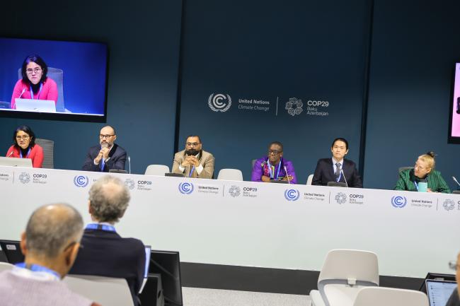 A view of the panel 