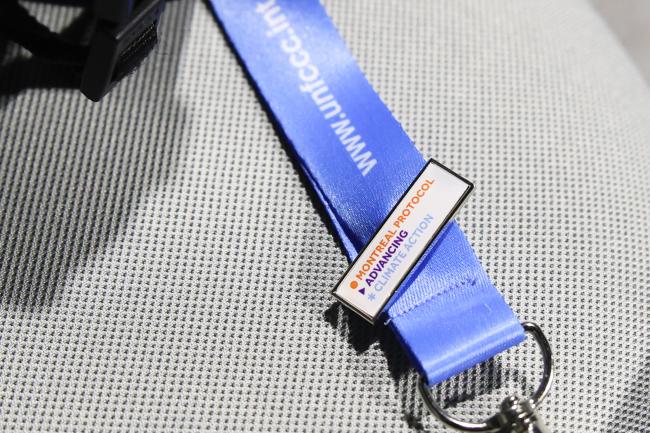 Montreal Protocol Pin 