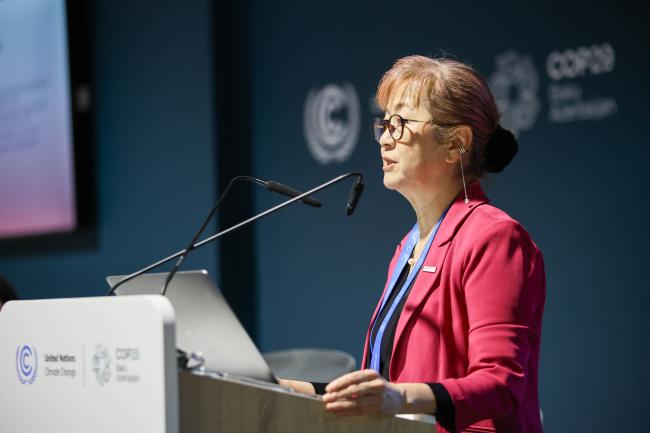 Meg Seki, Executive Secretary, Ozone Secretariat