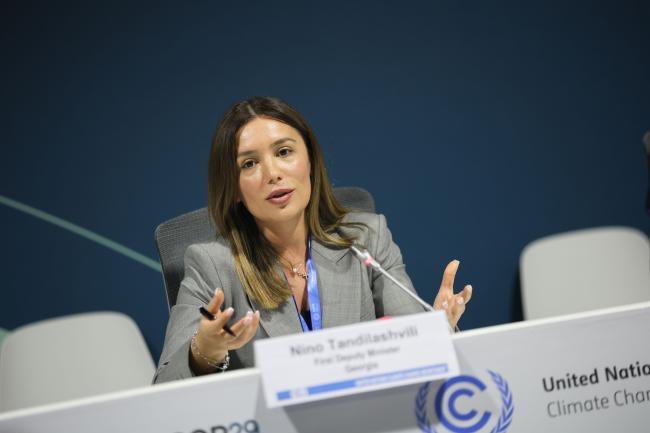 Nino Tandilashvili, First Deputy Minister, Ministry of Environmental Protection and Agriculture, Georgia