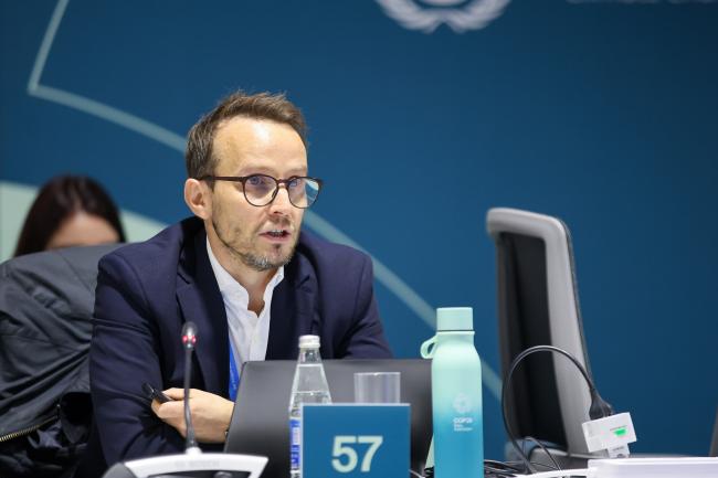 Nicolas Franke, WMO on behalf of UN-Water Expert Group on Water and Climate Change 