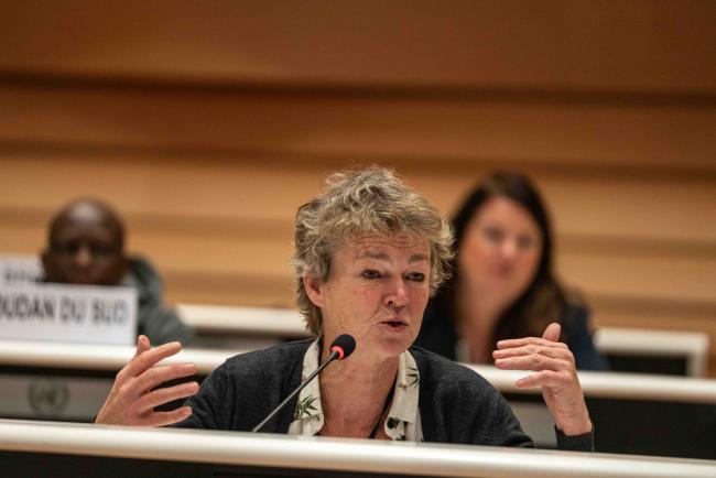 Joyce Kortlandt, Netherlands Commission for Environmental Assessment - IGF_AGM_20Nov2024-photo