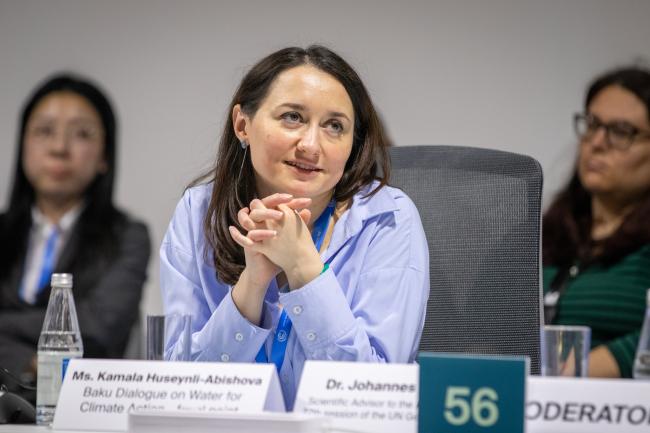 Kamala Huseynli-Abishova, Water for Climate Action focal point, COP 29 Presidency 