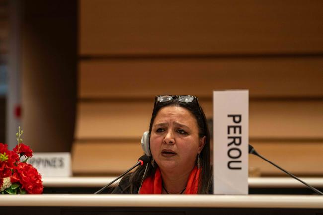 Karina Zevallos Obreros, Peu - IGF_AGM_19Nov2024-photo