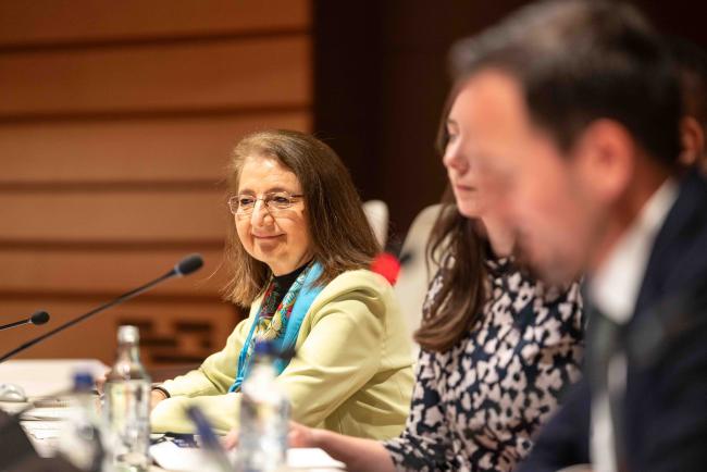 Luz María De la Mora1, Director of International Trade and Commodities, UNCTAD - IGF_AGM_20Nov2024-photo