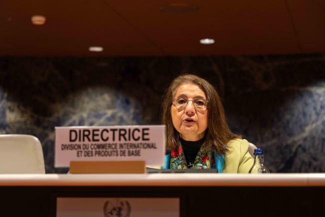 Luz María De la Mora2, Director of International Trade and Commodities, UNCTAD - IGF_AGM_20Nov2024-photo