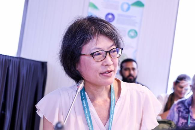 Maiko Nishi, Research Fellow, IPSI Secretariat, UNU-IAS - BIOFIN-UNDP-31oct24-photo